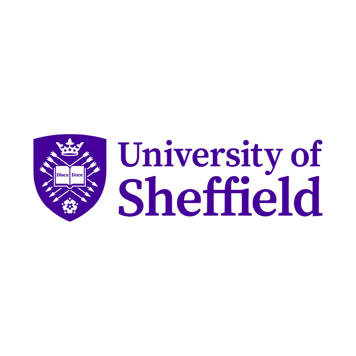 The University of Sheffield Healthcare Employer Skills Academy