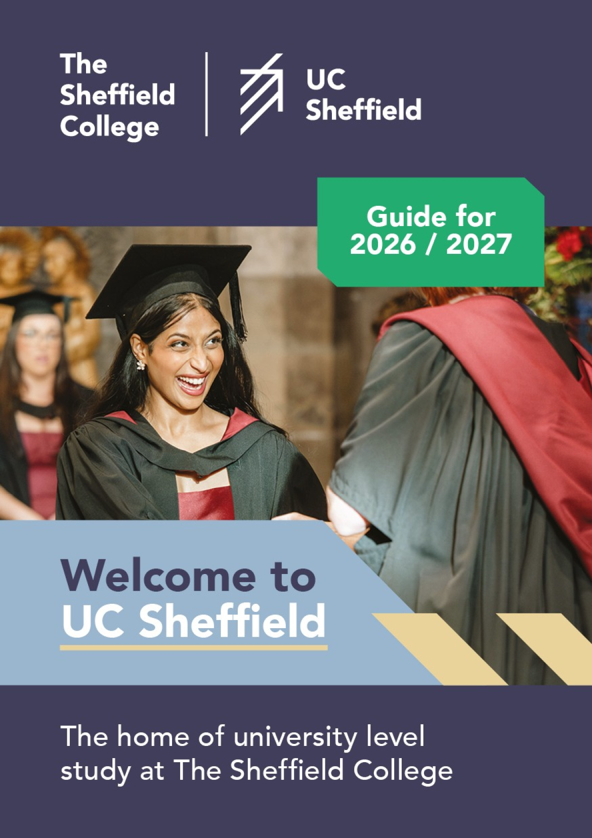 University Level and Professional