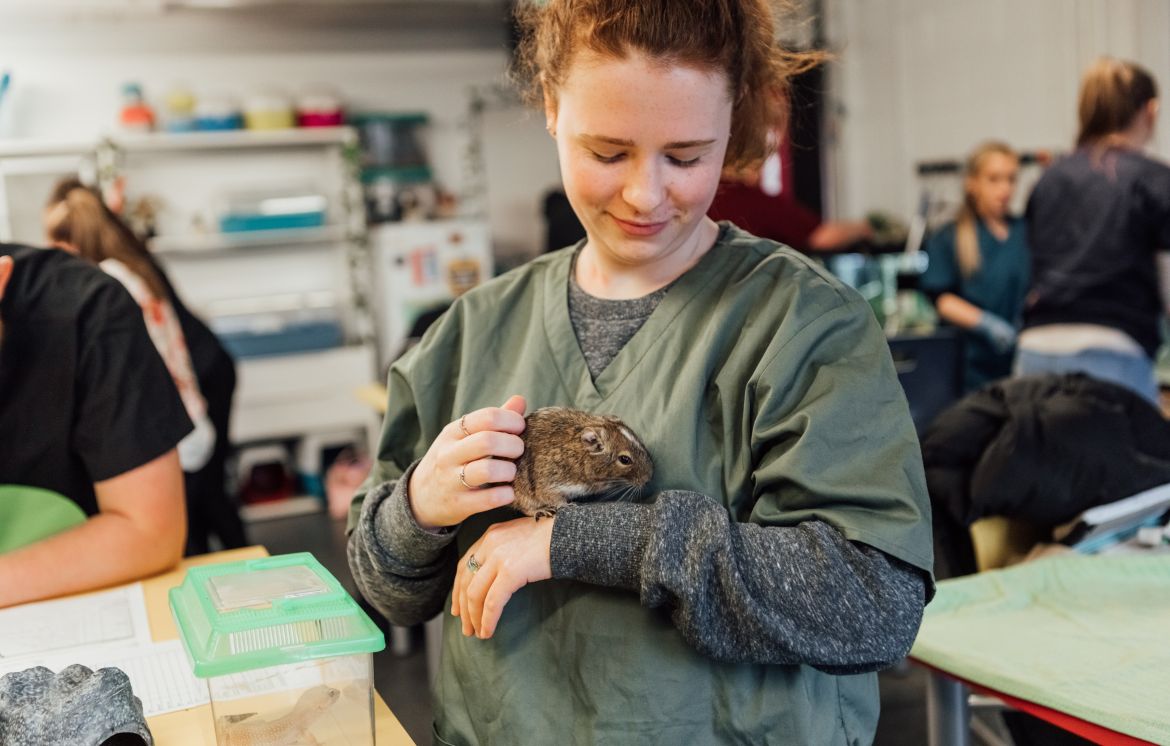 Spotlight on Hillsborough